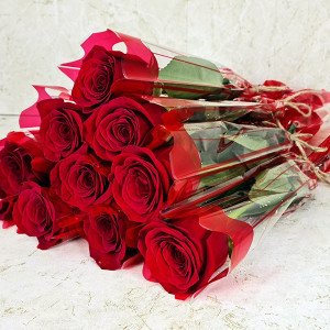 10 Pieces Single Roses Red