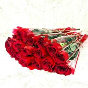 25 Pieces Single Roses Red