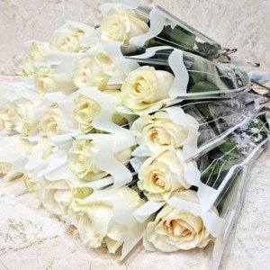 25 Pieces Single Roses White