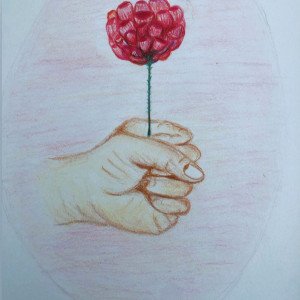 Kamel Faras 5 - La rose