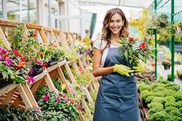 I am expert in florist work, I am looking for opportunity, Salmiya, Hawalli, Kuwait City – 51285490