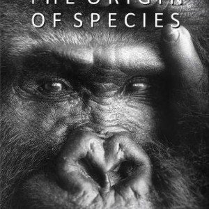 origin of species