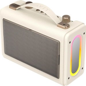 Havit SK823BT Wireless Portable Karaoke Speaker, Rechargeable Bluetooth Speaker with RGB Lights, Waterproof Outdoor Speaker with Wireless Microphone,