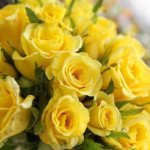 Yellow Flowers Gift 2
