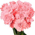 Flowers Tray 2