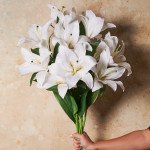 Golden Lilly 2