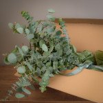 Bloomed Box 2