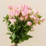 Flowers Tray 2