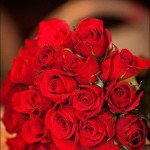 Red Rose Flowers
