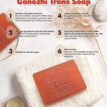 DXN Ganozhi Trans Soap and DXN Oocha Trans Soap