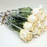 10 Pieces Single Roses White