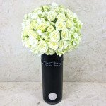 Global White 2