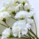 Flowers Tray 2