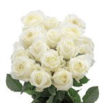25 Pieces Single Roses White