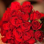 Flora Red Love