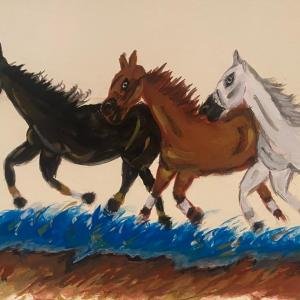 Kamel Faras 105 - Horses 1